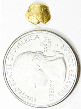 Load image into Gallery viewer, Alaskan Gold Nugget Authentic Yukon Small 22k .7g Fine