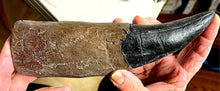Lade das Bild in den Galerie-Viewer, Tyrannosaurus Rex Tooth Model 8 Inches Long Resin Reproduction T-Rex Sculpture