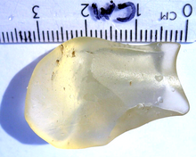 Charger l'image dans la galerie, Verre libyen Fragment d'impact de météorite jaune Éclat de roche du désert