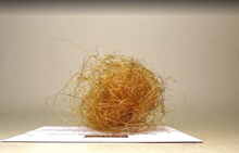 Load image into Gallery viewer, 2g Woolly Mammoth Hair Large Real Fossil Fur Sample Tuft Clump