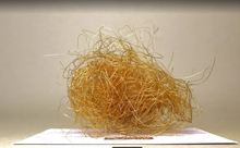 Load image into Gallery viewer, 2g Woolly Mammoth Hair Large Real Fossil Fur Sample Tuft Clump