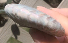 Lade das Bild in den Galerie-Viewer, Ammonite Old Mollusk Jurassic Genuine Fossil