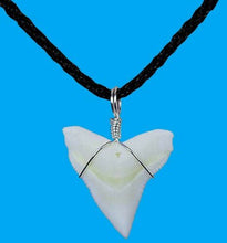 Load image into Gallery viewer, Bull Shark Tooth Necklace Pendant With Cord 1 Inch Long