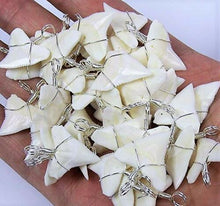 Load image into Gallery viewer, Tiger Shark Tooth Necklace 1 Inch Long Genuine & Unrestored