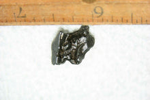Load image into Gallery viewer, Campo del Cielo Real Iron Meteorite Fragment Piece 4g Small