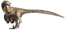 Load image into Gallery viewer, Deinonychus Raptor Claw Replica 4 Inches Long Black Resin Model