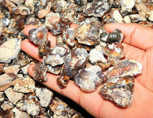 Load image into Gallery viewer, Fire Agate Rough Cut Arizona Natural 2000 Carats Bulk Lot