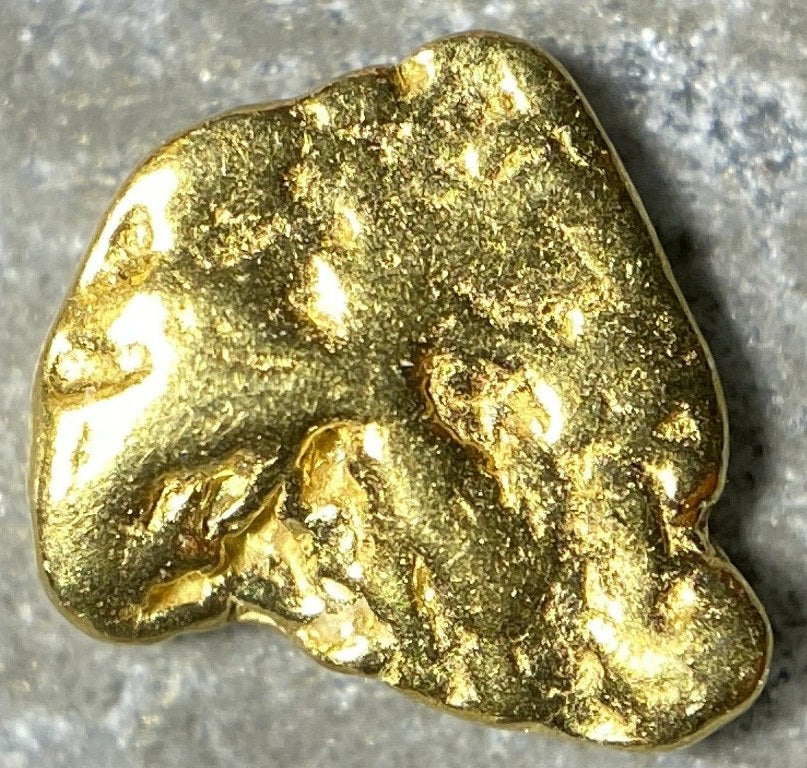 Alaskan Gold Nugget Genuine Yukon Small 22k .1g Fine – rocksolidfossils