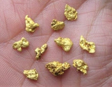Load image into Gallery viewer, Alaskan Gold Nugget Genuine Yukon Small 22k .5g Fine
