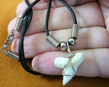 Load image into Gallery viewer, Hammerhead Shark Tooth Necklace 1 Inch Long Genuine & Unrestored