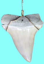 Load image into Gallery viewer, Mako Shark Tooth Necklace 1 Inch Long Genuine & Unrestored