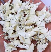 Load image into Gallery viewer, Mako Shark Tooth Necklace 1 Inch Long Genuine & Unrestored