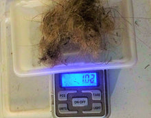 Load image into Gallery viewer, Siberian Mammoth Real Fossilized Hair Sample, 1 Gram Wool Extract