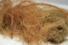 Lade das Bild in den Galerie-Viewer, Woolly Mammoth Real Fossilized Hair Sample, Medium Sized Genuine Extract