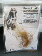 Load image into Gallery viewer, Woolly Mammoth Real Fossilized Hair Sample, Small Genuine Extract