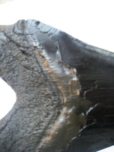 Load image into Gallery viewer, Megalodon Giant Shark Tooth Huge Replica Large 7 Inches Long