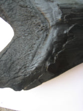 Load image into Gallery viewer, Megalodon Giant Shark Tooth Huge Replica Large 7 Inches Long
