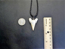 Load image into Gallery viewer, Otodus Extinct Giant Shark Tooth Necklace 1 Inch Long Genuine