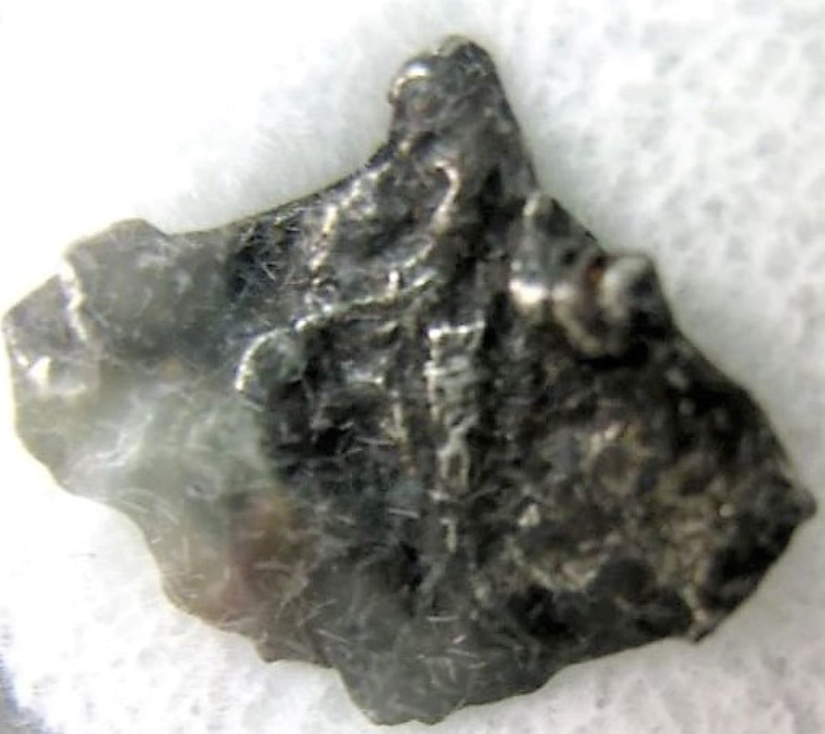 シホテアリニ隕石 ペンダントトップ Sikhote-Alin Meteorite Sikhote Alin Meteorite Pendant - Mini Museum