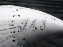 Lade das Bild in den Galerie-Viewer, Sperm Whale Tooth Replica Scrimshaw 7 Inches Long The Comet Resin Model