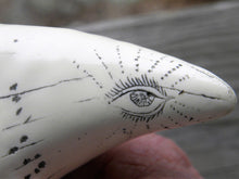 Lade das Bild in den Galerie-Viewer, Sperm Whale Tooth Replica Scrimshaw 7 Inches Long The Comet Resin Model