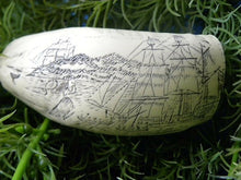 Lade das Bild in den Galerie-Viewer, Sperm Whale Tooth Replica Scrimshaw 4 Inches Long Whaler Lion Resin Model