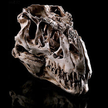 Lade das Bild in den Galerie-Viewer, Tyrannosaurus Rex Skull Replica Small Size Resin Model T-Rex Sculpture