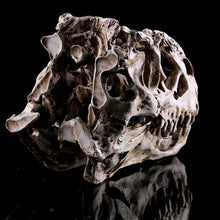 Lade das Bild in den Galerie-Viewer, Tyrannosaurus Rex Skull Replica Small Size Resin Model T-Rex Sculpture