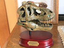 Lade das Bild in den Galerie-Viewer, Tyrannosaurus Rex Skull Replica 1/10th Scale Resin Model T-Rex Sculpture