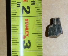Load image into Gallery viewer, Tyrannosaurus Rex Tooth Hell Creek Fossil T-Rex 1/2 Inch Long Genuine & Unrestored