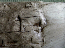 Load image into Gallery viewer, Tyrannosaurus Rex Tooth Replica 12 Inches Long Resin Model T-Rex Sculpture