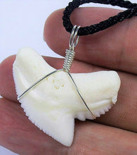Load image into Gallery viewer, Tiger Shark Tooth Necklace 1 Inch Long Genuine & Unrestored