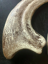 Load image into Gallery viewer, Utahraptor Claw Replica 9 Inches Long Beige Resin Model