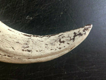 Load image into Gallery viewer, Utahraptor Claw Replica 9 Inches Long Beige Resin Model