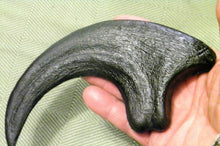 Lade das Bild in den Galerie-Viewer, Utahraptor Claw Replica 9 Inches Long Black Resin Model