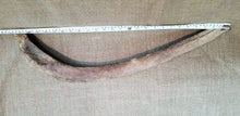 Load image into Gallery viewer, Woolly Mammoth Rib Bone Genuine Fossil Siberia