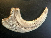 Load image into Gallery viewer, Utahraptor Claw Replica 9 Inches Long Beige Resin Model