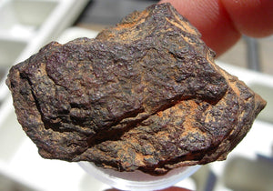 Canyon Diablo Iron Nickel Meteorite Fragment 20g Genuine