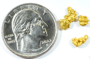 Australian Gold Nugget Genuine Victoria Small 22k .3g Fine
