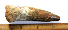 Charger l'image dans la galerie, Spinosaurus Tooth 3 Inches Long Real Dinosaur Collector's Fossil
