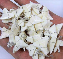 Load image into Gallery viewer, Tiger Shark Tooth Necklace 1 Inch Long Genuine &amp; Unrestored
