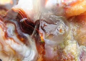 thumbnail image 2 of 1000 Carat White Fire Agate Rough – Natural USA Gemstone, Plus FREE Faceted Gem 2 of 3