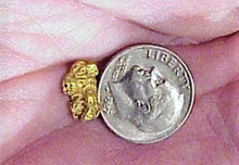 Cargar imagen en el visor de la galería, Alaskan Gold Nugget Genuine Yukon Small 22k .3g Fine
