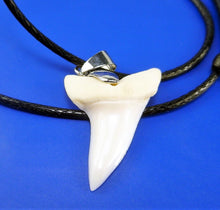 Cargar imagen en el visor de la galería, Collar de dientes de tiburón Mako de 1 pulgada de largo, genuino y sin restaurar
