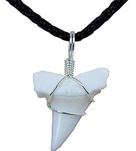 Mako Shark Tooth Necklace 1 Inch Long Genuine & Unrestored
