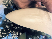 Cargar imagen en el visor de la galería, Megalodon Extinct Shark Tooth White Replica Large 7 Inches Long
