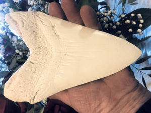 Megalodon Shark Tooth White Huge Replica Large 7 Inches Long