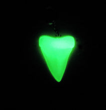 Cargar imagen en el visor de la galería, Megalodon Shark Tooth Keychain Glow in the Dark 2 1/2 Inches Long Resin Model
