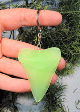 Cargar imagen en el visor de la galería, Megalodon Shark Tooth Keychain Glow in the Dark 2 1/2 Inches Long Resin Model
