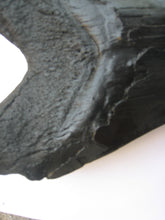 Cargar imagen en el visor de la galería, Megalodon Extinct Giant Shark Tooth Replica Large 7 Inches Long
